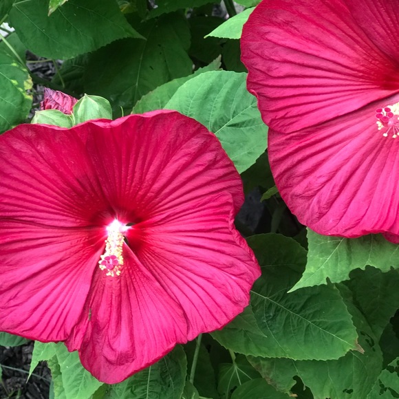 Meet your Posher, Kerry - Picture 13 of 15